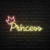Princess Neon Sign